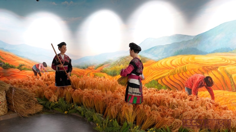 展館設計平面布局有哪些創(chuàng)新形式？