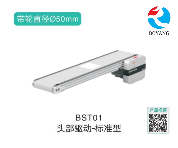 標(biāo)準(zhǔn)型BST01頭部驅(qū)動(dòng)皮帶輸送機(jī)